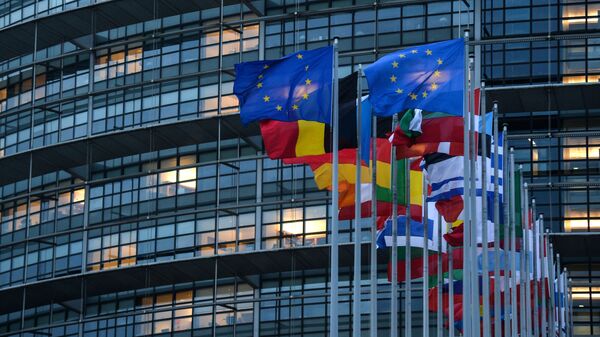 Флаги европейских государств перед зданием Европейского парламента в Страсбурге. Архивное фото