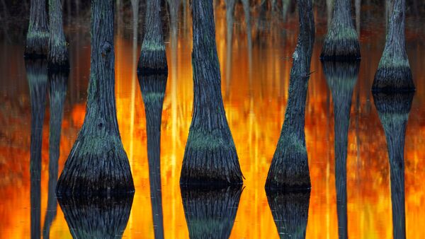 Работа фотографа Paul Marcellini. Конкурс фотографии The International Landscape Photographer of the Year 2018 Работа фотографа Paul Marcellini. Конкурс фотографии The International Landscape Photographer of the Year 2018