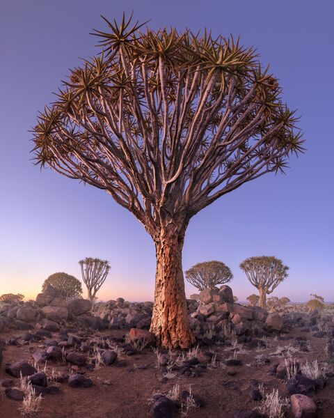 Работа фотографа Andrey Omelyanchuk. Конкурс фотографии The International Landscape Photographer of the Year 2018 Работа фотографа Andrey Omelyanchuk. Конкурс фотографии The International Landscape Photographer of the Year 2018