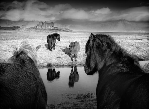 Baerbel Brechtel. Первое место национальной номинации фотоконкурса Sony World Photography Awards 2019 Baerbel Brechtel. Первое место национальной номинации фотоконкурса Sony World Photography Awards 2019