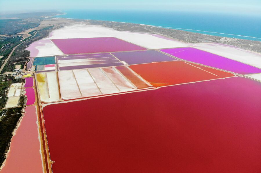 Австралия, минеральное озеро Hutt Lagoon Австралия, минеральное озеро Hutt Lagoon