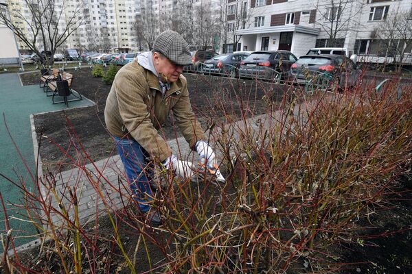 Общегородской субботник в Москве Общегородской субботник в Москве