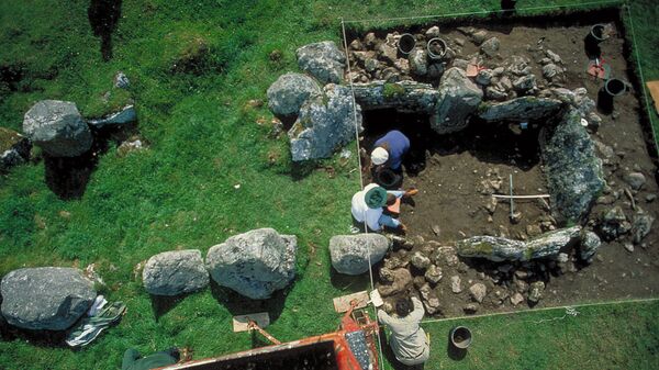 Дольмен Примроуз Гранж в Ирландии