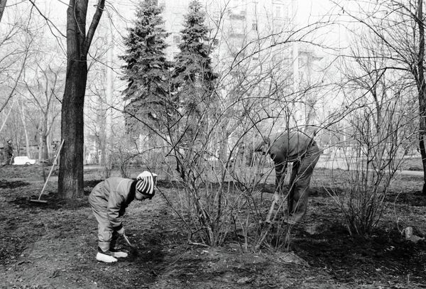 Москвичи работают на субботнике в парке Москвичи работают на субботнике в парке