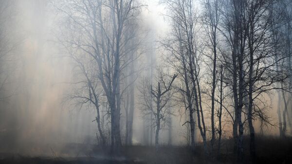 Дым от лесного пожара