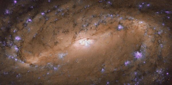 Спиральная галактика NGC 2903 Спиральная галактика NGC 2903