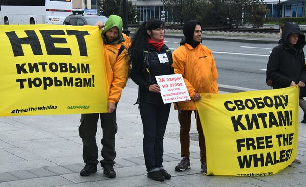 Участники пикета в защиту косаток и белух, находящихся в китовой тюрьме в бухте Средняя, на Корабельной набережной Владивостока Участники пикета в защиту косаток и белух, находящихся в китовой тюрьме в бухте Средняя, на Корабельной набережной Владивостока