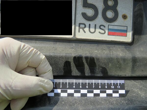 Осмотр места происшествия Осмотр места происшествия