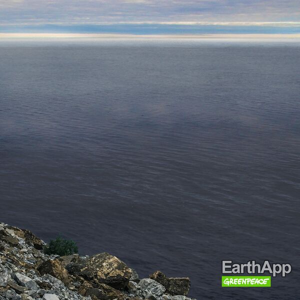 Фото, опубликованное Greenpeace России в рамках проекта EarthApp Фото, опубликованное Greenpeace России в рамках проекта EarthApp