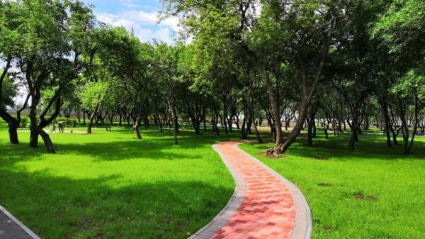 Благоустройство парка Яблоневый сад по программе Мой район в Бирюлево Западное