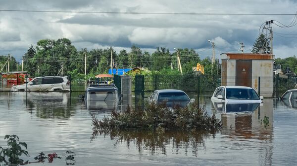 Затопленные автомобили в селе Норск в Селемджинском районе Амурской области