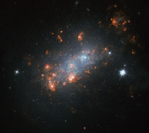 Галактика NGC 1156 в созвездии Овен Галактика NGC 1156 в созвездии Овен