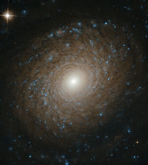 Спиральная галактика NGC 2985 в созвездии Большая Медведица Спиральная галактика NGC 2985 в созвездии Большая Медведица