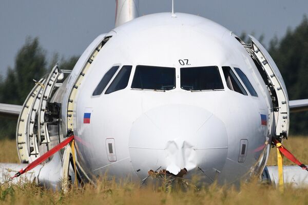 Самолет Airbus А321 авиакомпании Уральские авиалинии в кукурузном поле в районе деревни Рыбаки в Раменском районе Московской области Самолет Airbus А321 авиакомпании Уральские авиалинии в кукурузном поле в районе деревни Рыбаки в Раменском районе Московской области