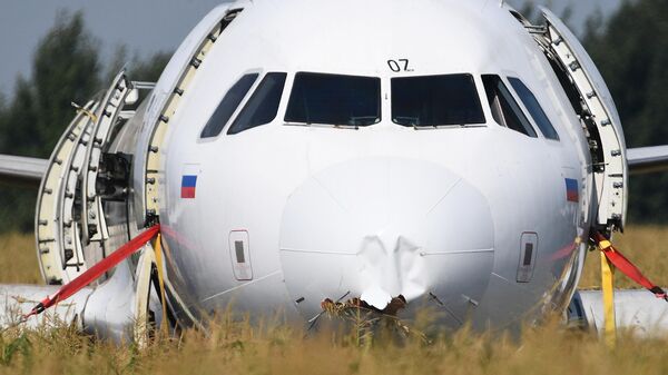 Самолет Airbus А321 авиакомпании Уральские авиалинии в кукурузном поле в районе деревни Рыбаки в Раменском районе Московской области Самолет Airbus А321 авиакомпании Уральские авиалинии в кукурузном поле в районе деревни Рыбаки в Раменском районе Московской области