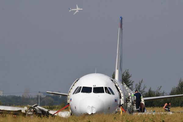 Самолет Airbus А321 авиакомпании Уральские авиалинии в кукурузном поле в районе деревни Рыбаки в Раменском районе Московской области. Самолет Airbus А321 авиакомпании Уральские авиалинии в кукурузном поле в районе деревни Рыбаки в Раменском районе Московской области.