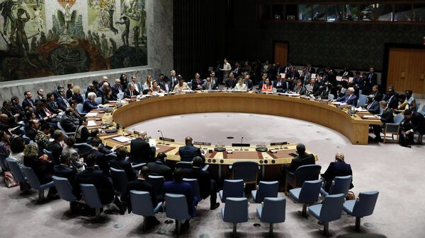США проинформируют СБ ООН о своей 