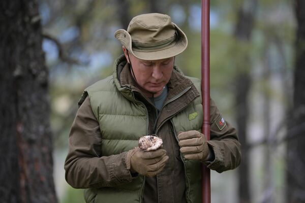 Президент РФ Владимир Путин во время прогулки в тайге Президент РФ Владимир Путин во время прогулки в тайге