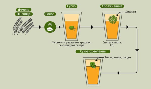 Производство крафтового пива Производство крафтового пива
