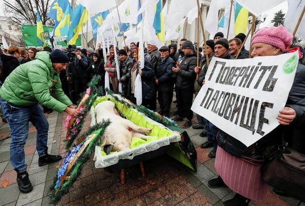 Митинг против земельной реформы перед зданием парламента в Киеве Митинг против земельной реформы перед зданием парламента в Киеве