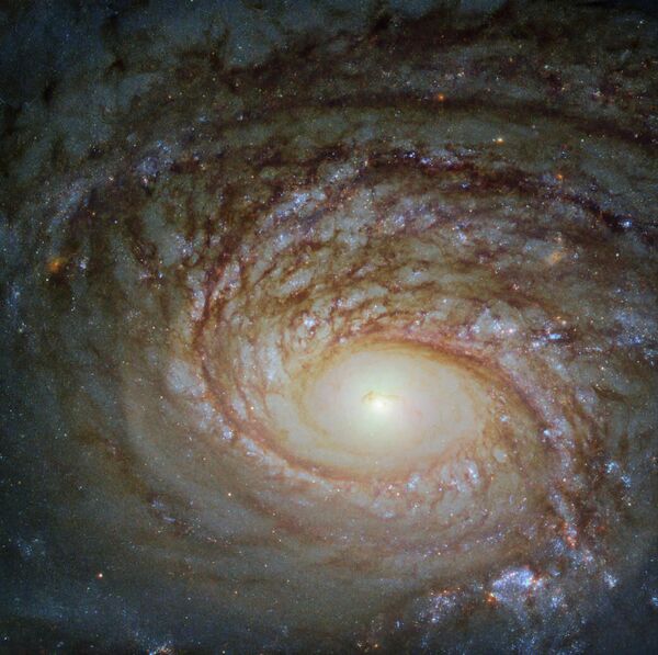 Спиральная галактика NGC 772 Спиральная галактика NGC 772