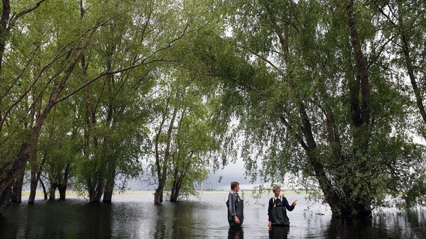 Глоток воды для поймы Волги: как спасают реку от обмеления Глоток воды для поймы Волги: как спасают реку от обмеления