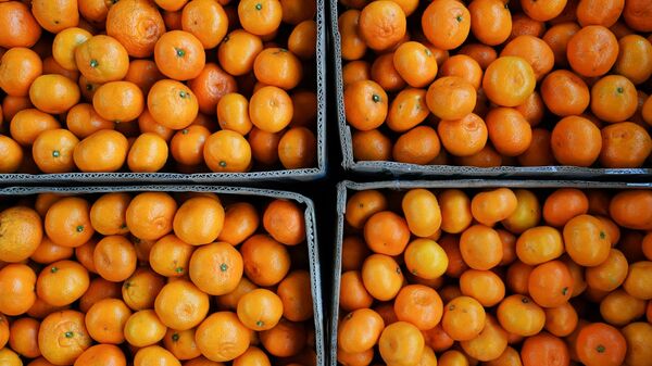 Продажа мандаринов на границе России и Абхазии в Сочи Продажа мандаринов на границе России и Абхазии в Сочи