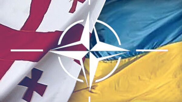 Грузия, Украина, НАТО Грузия, Украина, НАТО
