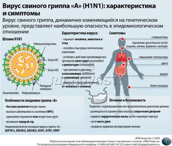Вирус свиного гриппа «A» (H1N1): характеристика и симптомы Вирус свиного гриппа «A» (H1N1): характеристика и симптомы