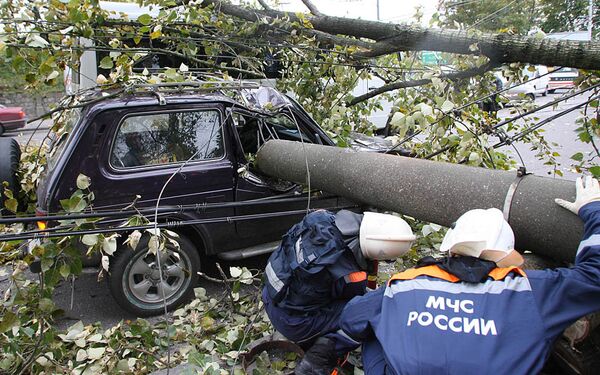 Ликвидация последствий штормового ветра в Калининграде Ликвидация последствий штормового ветра в Калининграде