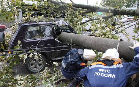 Ликвидация последствий штормового ветра в Калининграде Ликвидация последствий штормового ветра в Калининграде