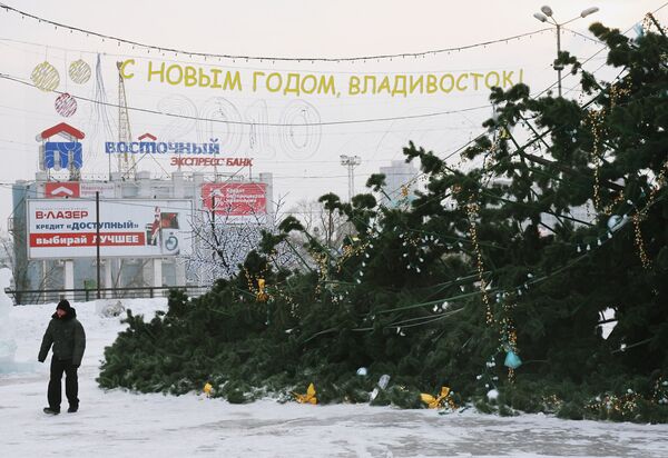 Искусственная елка, рухнувшая во Владивостоке, могла быть подложной Искусственная елка, рухнувшая во Владивостоке, могла быть подложной