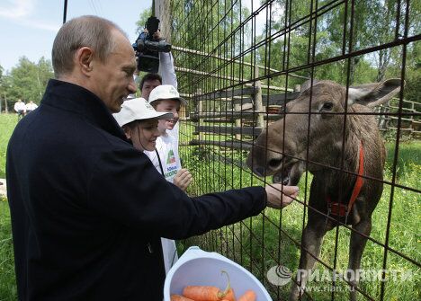 Премьер-министр РФ Владимир Путин посетил парк Лосиный остров Премьер-министр РФ Владимир Путин посетил парк Лосиный остров