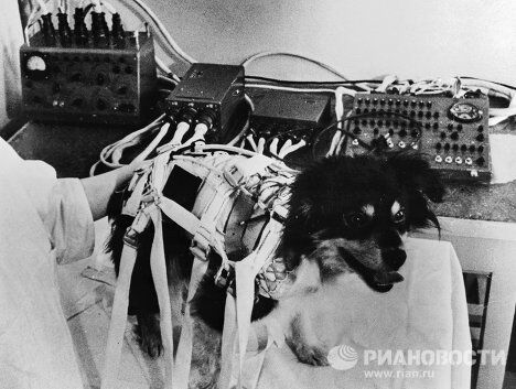 Специальный костюм-корсет для нахождения в космосе Специальный костюм-корсет для нахождения в космосе