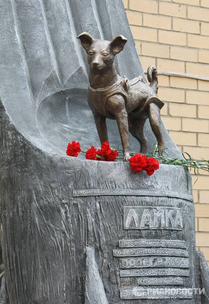 Открытие памятника собаке Лайке в Москве Открытие памятника собаке Лайке в Москве