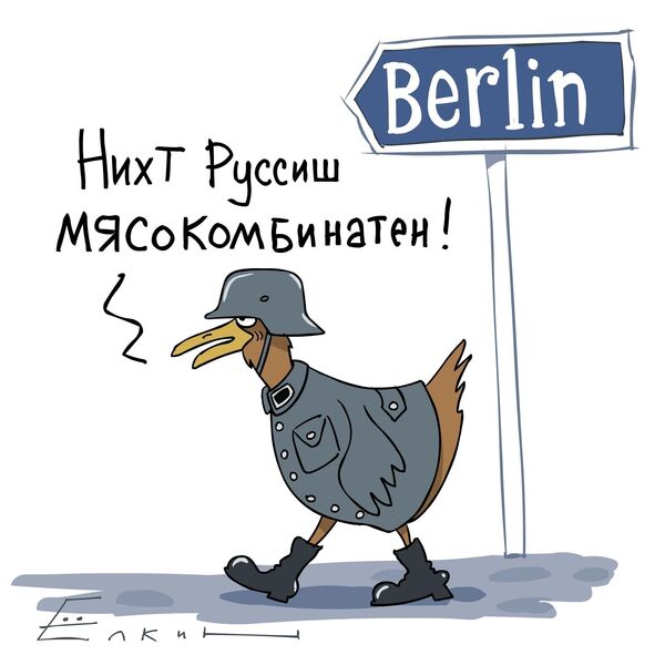 Временное ограничение на ввоз мяса птицы из Германии Временное ограничение на ввоз мяса птицы из Германии