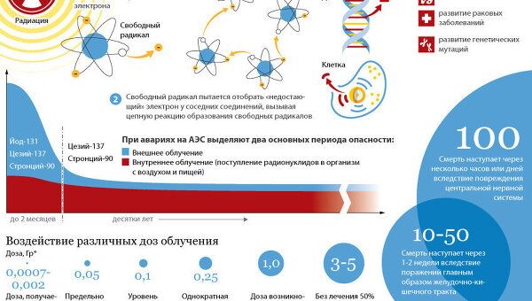 Воздействие радиации на организм человека Воздействие радиации на организм человека