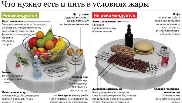 Что нужно есть и пить в условиях жары Что нужно есть и пить в условиях жары