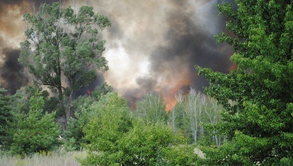 Лесные пожары в Ростовской области Лесные пожары в Ростовской области