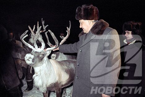 РИА Новости. Фото Бориса Бабанова РИА Новости. Фото Бориса Бабанова