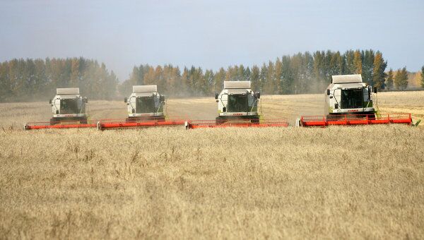 Уборка зерновых Уборка зерновых