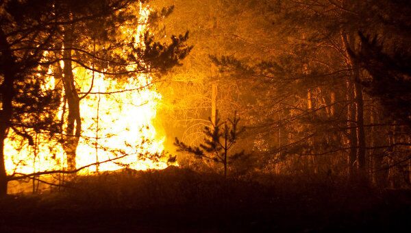 Лесные пожары в Тольятти Лесные пожары в Тольятти