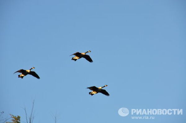 В Нью-Йорк после снегопада пришло бабье лето В Нью-Йорк после снегопада пришло бабье лето