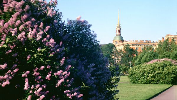 Михайловский дворец. Архив Михайловский дворец. Архив