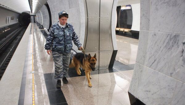Сотрудница Центра кинологической службы Сотрудница Центра кинологической службы