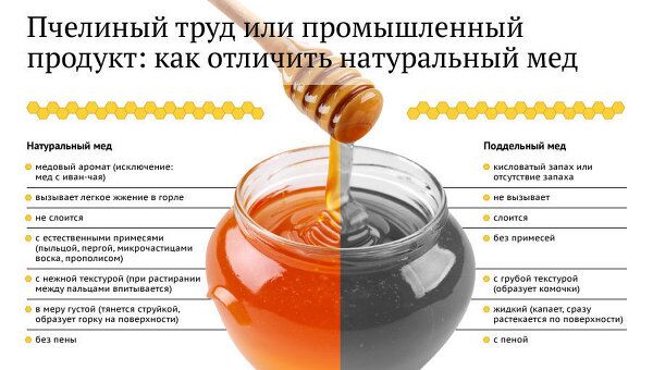 Пчелиный труд или промышленный продукт: как отличить натуральный мед Пчелиный труд или промышленный продукт: как отличить натуральный мед