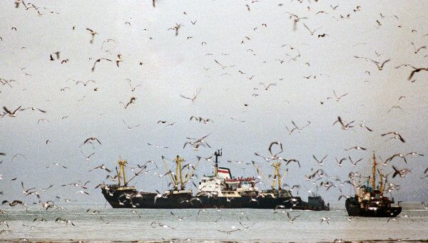 Рыболовецкие судна в море. Архив Рыболовецкие судна в море. Архив