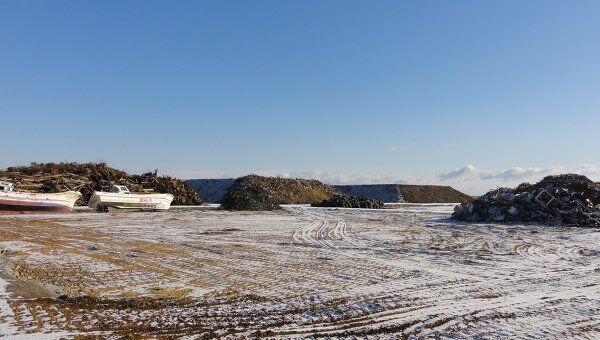 Год после катастрофы: за несколько километров от моря, префектура Фукусима Год после катастрофы: за несколько километров от моря, префектура Фукусима