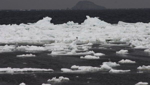 Ледовые поля рядом с Командорами Ледовые поля рядом с Командорами