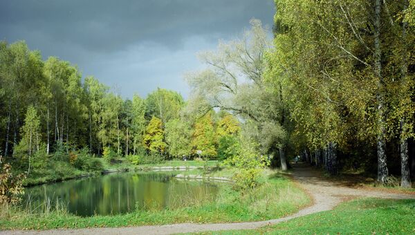 Лес. Архив Лес. Архив